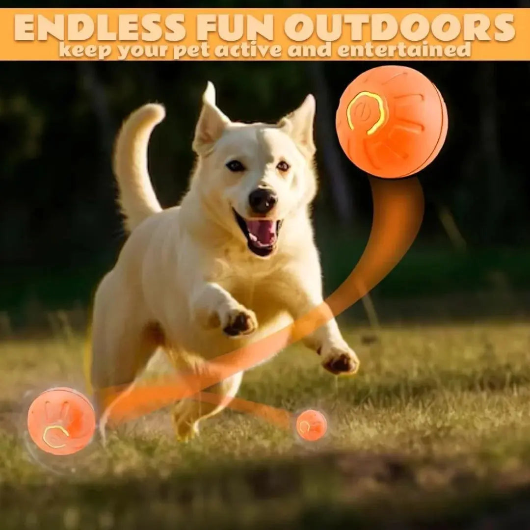 Pet toys Gravity Electric Amusement Pet Ball Smart Bouncing Ball For Dogs and Cats WoodchuckTech