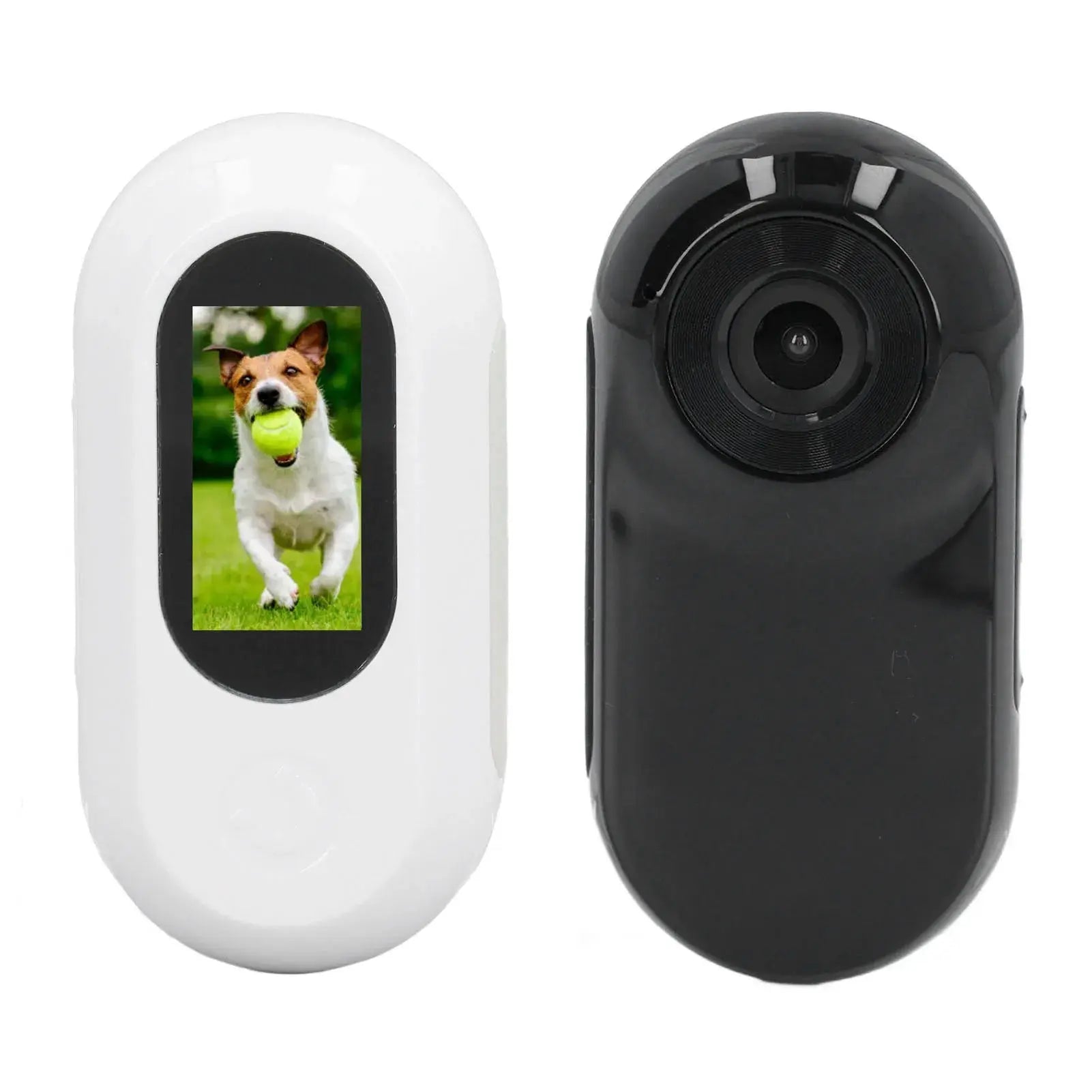 Pet Collar Camera Pet Collar Camera 120 Deg Lens OTG Connection Video Recording Adjustable Magnetic Cat Sport Camera for Outdoor WoodchuckTech