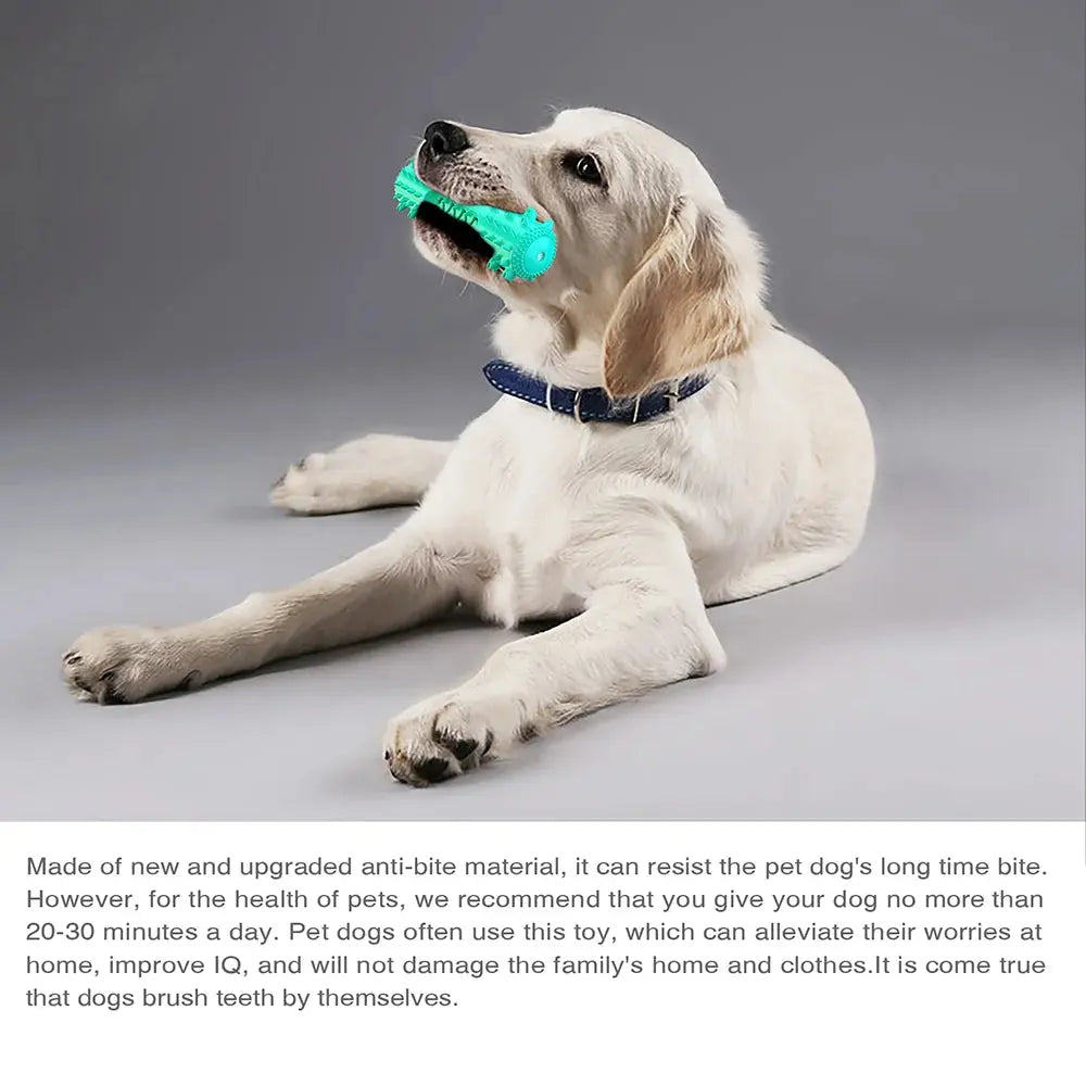 Squeaky Chew Water Floating Large Dog Toy Rubber Teeth Clean Interactive Training Toys Pet Labrador Golden Retriever Supplie WoodchuckTech