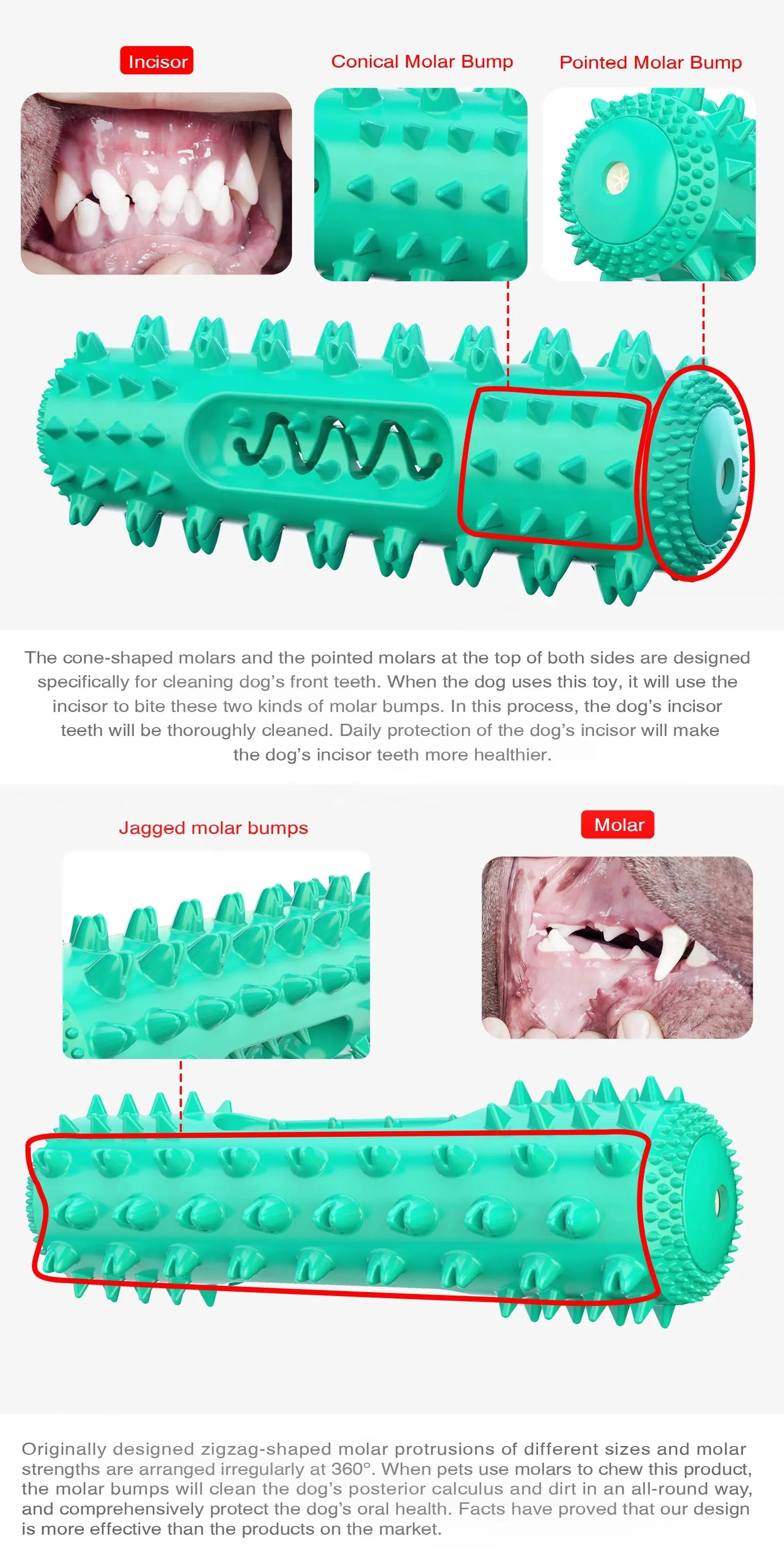 Squeaky Chew Water Floating Large Dog Toy Rubber Teeth Clean Interactive Training Toys Pet Labrador Golden Retriever Supplie WoodchuckTech