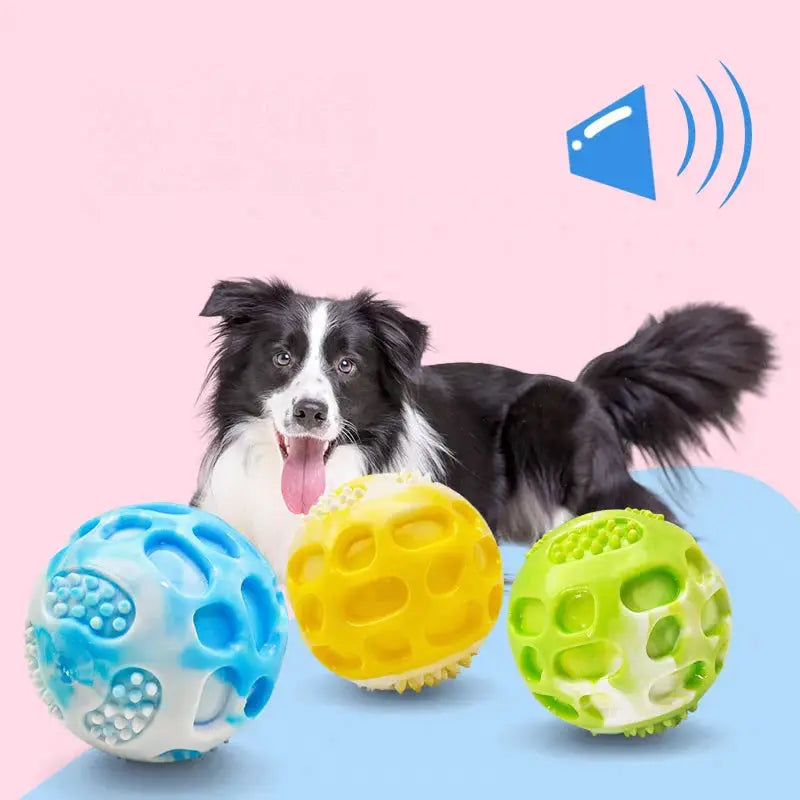 Pet dog toys are sturdy and durable, can alleviate teething discomfort, and are suitable for use during outdoor training. WoodchuckTech