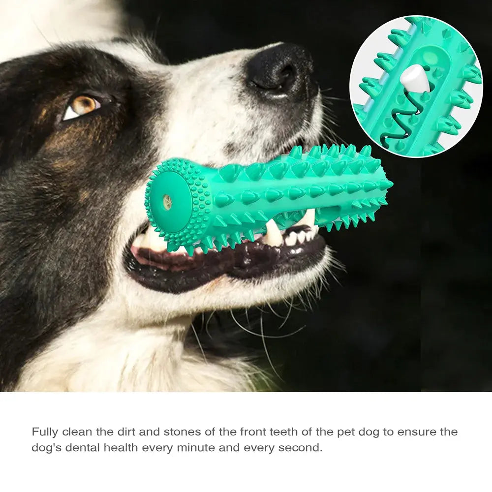Squeaky Chew Water Floating Large Dog Toy Rubber Teeth Clean Interactive Training Toys Pet Labrador Golden Retriever Supplie WoodchuckTech