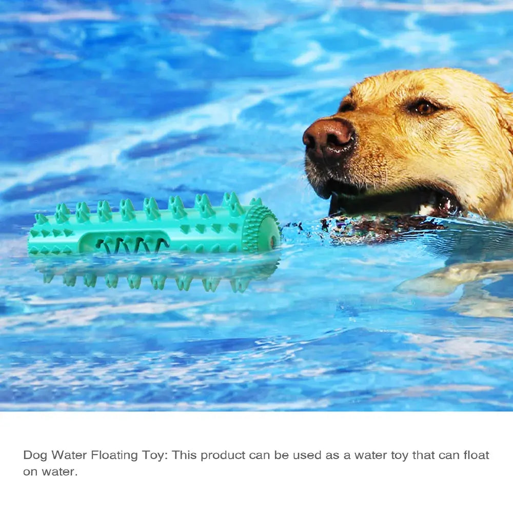 Squeaky Chew Water Floating Large Dog Toy Rubber Teeth Clean Interactive Training Toys Pet Labrador Golden Retriever Supplie WoodchuckTech