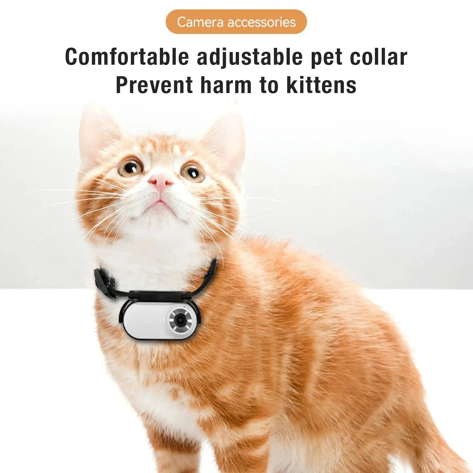 Pet Collar Camera Pet Collar Camera 120 Deg Lens OTG Connection Video Recording Adjustable Magnetic Cat Sport Camera for Outdoor WoodchuckTech