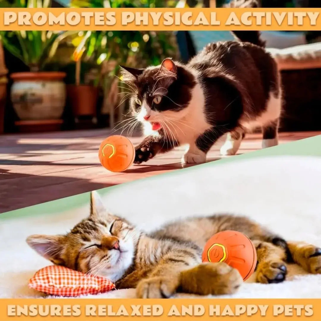 Pet toys Gravity Electric Amusement Pet Ball Smart Bouncing Ball For Dogs and Cats WoodchuckTech