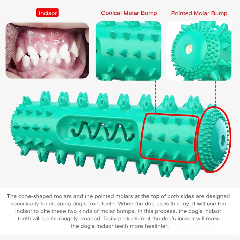 Squeaky Chew Water Floating Large Dog Toy Rubber Teeth Clean Interactive Training Toys Pet Labrador Golden Retriever Supplie WoodchuckTech