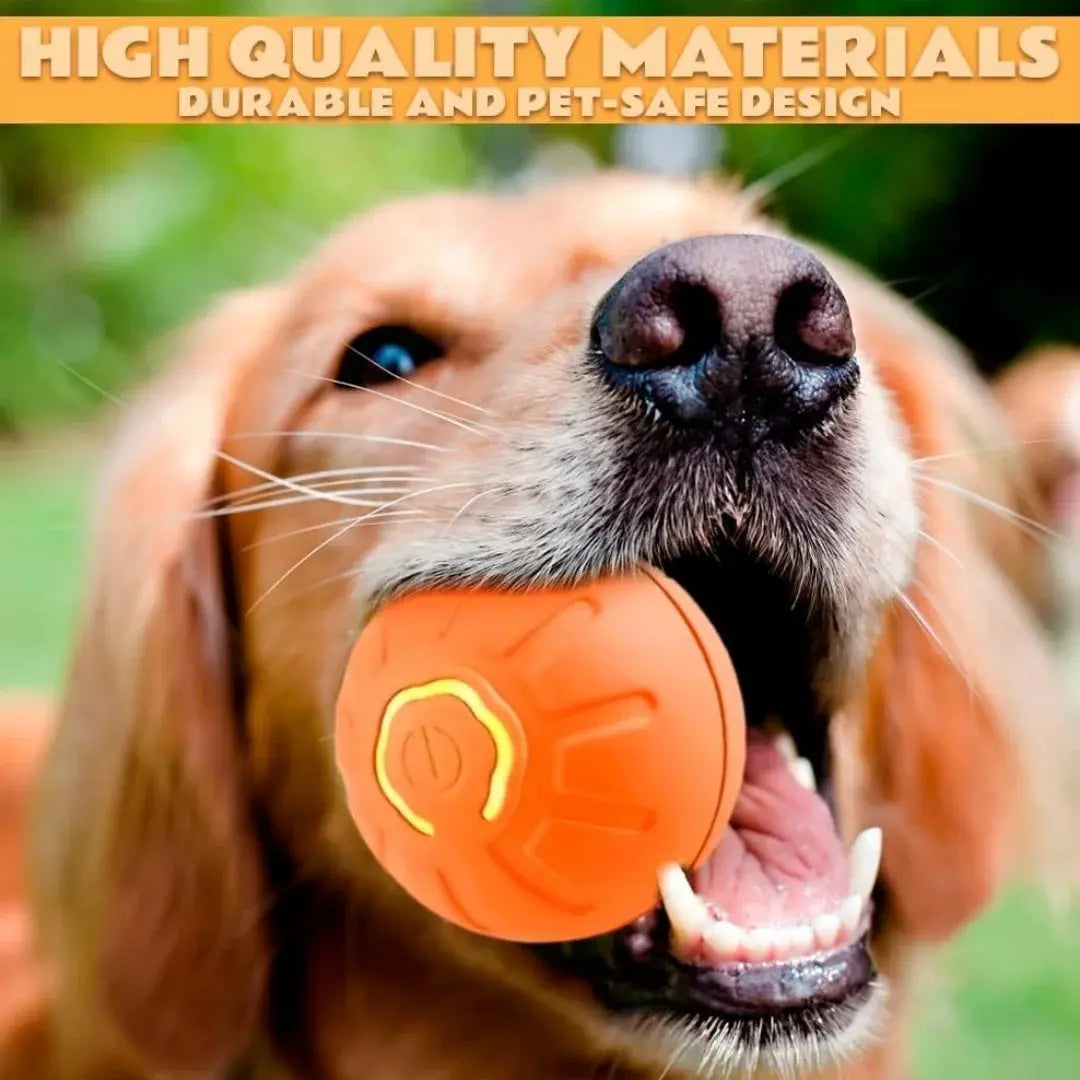 Pet toys Gravity Electric Amusement Pet Ball Smart Bouncing Ball For Dogs and Cats WoodchuckTech