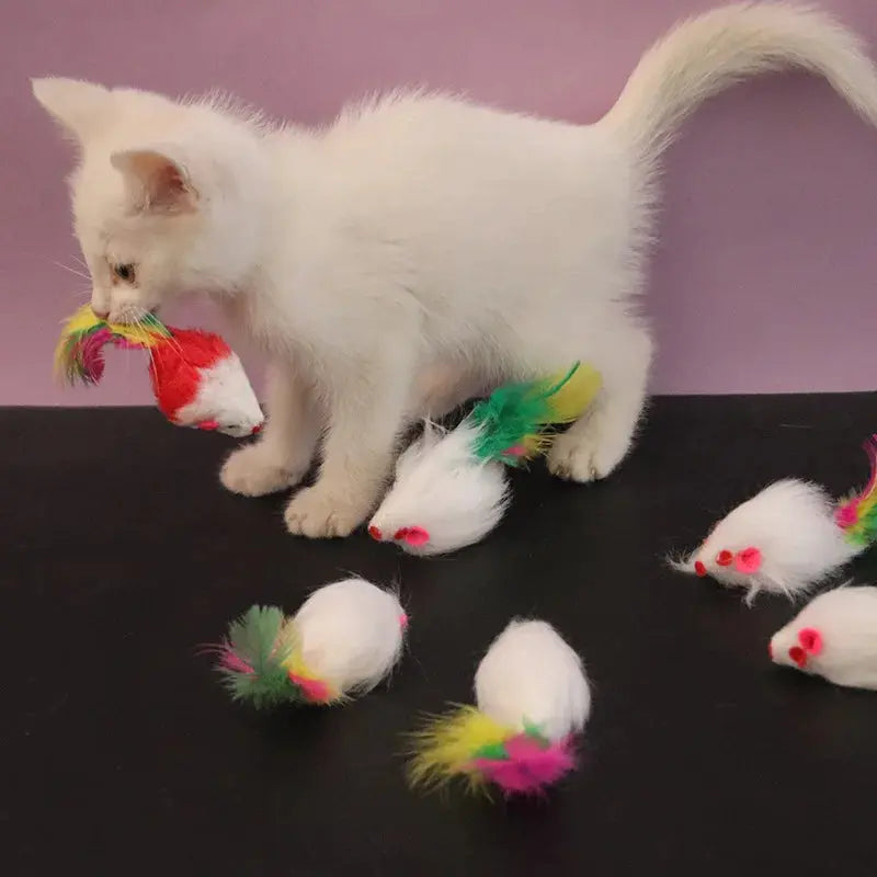 1pcs Cat Toys Interactive Cute Soft Fleece False Mouse Colorful Feather Funny Playing Training Toy for Cats Kitten Pet Supplies WoodchuckTech