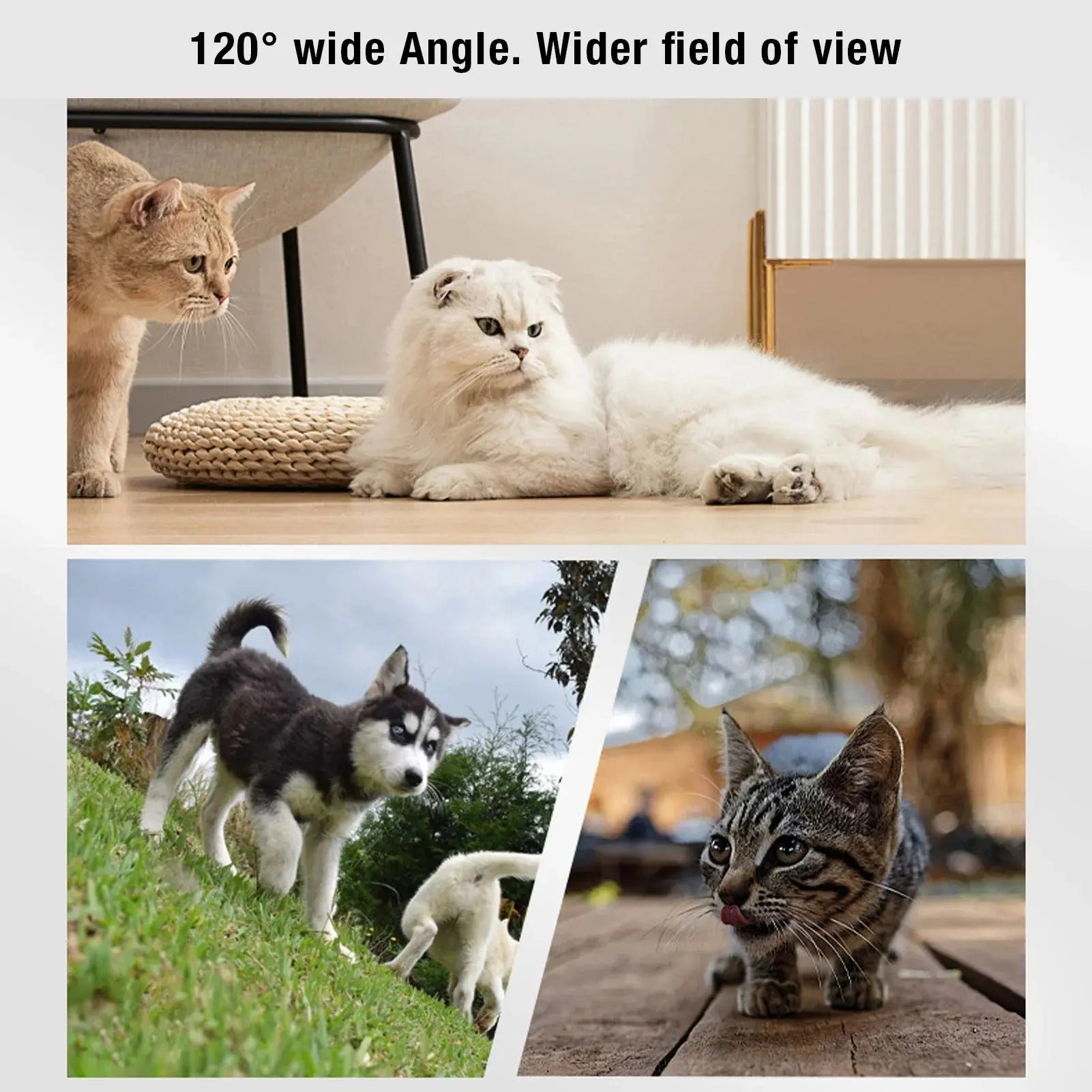 Pet Collar Camera Pet Collar Camera 120 Deg Lens OTG Connection Video Recording Adjustable Magnetic Cat Sport Camera for Outdoor WoodchuckTech